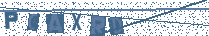 Type the letters shown in the image above