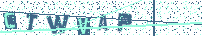 Type the letters shown in the image above