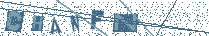 Type the letters shown in the image above